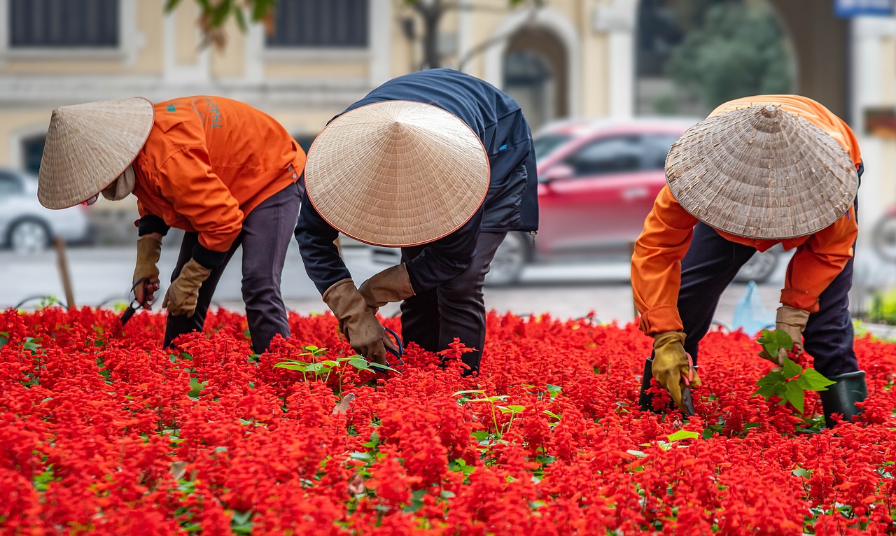 Esplorazione Culturale e Gastronomica di Hanoi